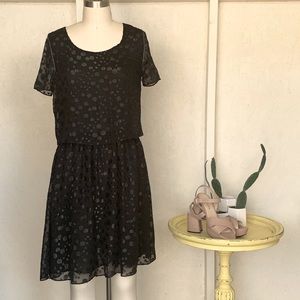 Cooper & Ella Sheer Chiffon Dress in Black Size S